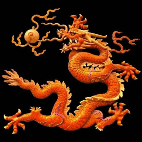 看着老实一肚子坏水的生肖