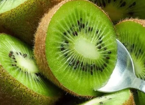 猕猴桃是热性还是凉性