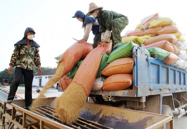 农村人在家干什么挣钱