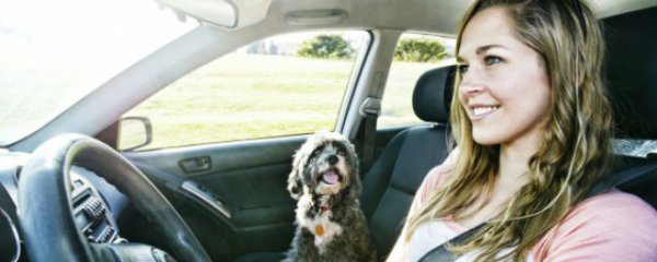 怎么挑选汽车技巧