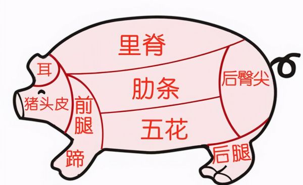 后尖肉是哪个部位