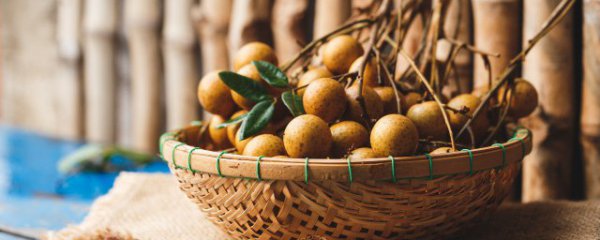 桂圆是寒性还是热性的