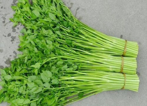 水芹菜种植时间和方法