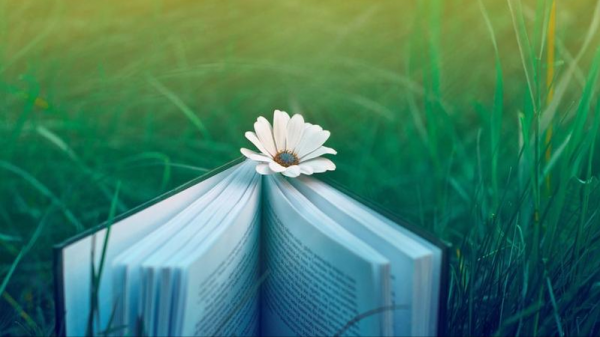 高中生退伍回来怎样提升学历