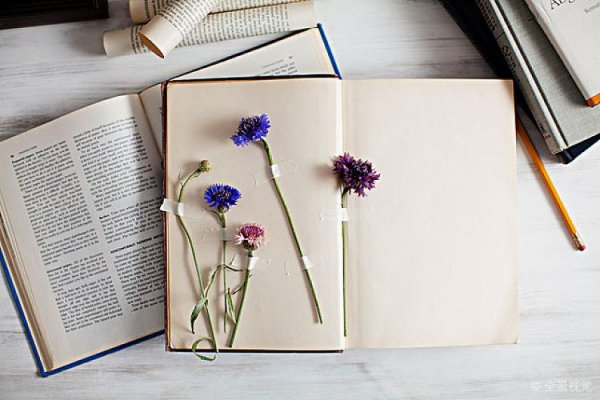 高中生退伍回来怎样提升学历