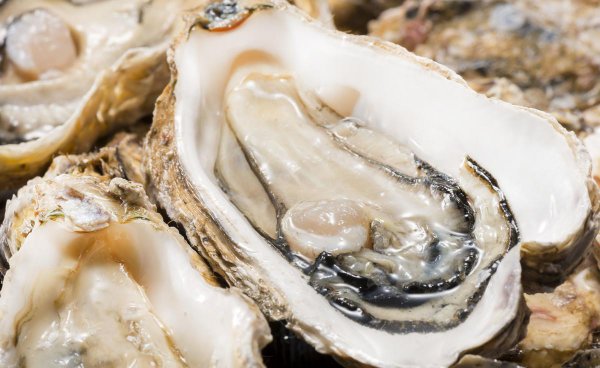 生蚝怎么挑选肥的