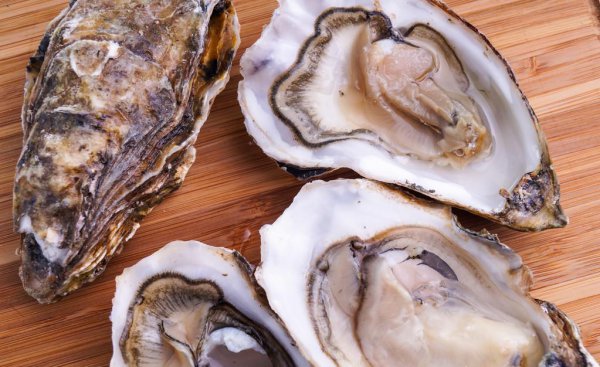 生蚝怎么挑选肥的
