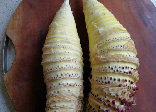 毛笋什么时候上市