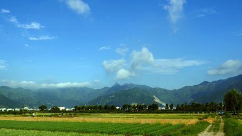 投稿是什么意思