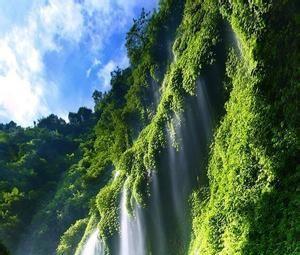 投稿是什么意思