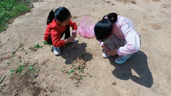 湖南特产有哪些土特产零食