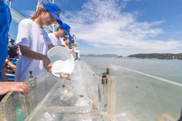 考研哪个专业比较好考