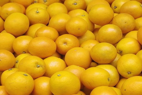 橙子为什么放几个月都不坏