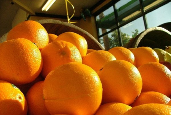 橙子为什么放几个月都不坏