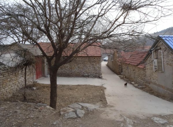 重男轻女的家庭对女孩的伤害有多大