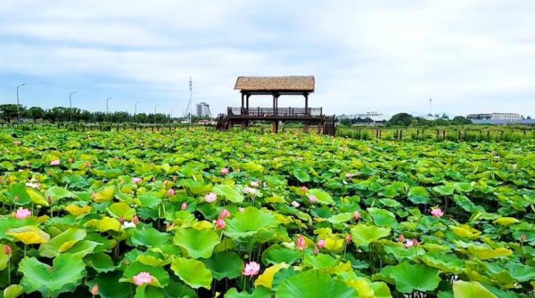 宁波十大网红景点推荐