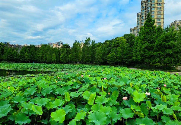 宁波十大网红景点推荐
