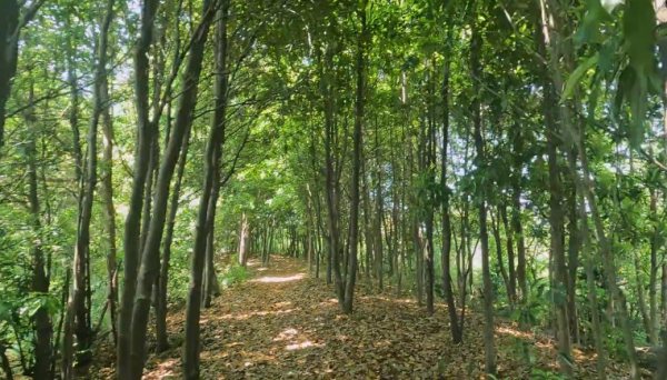 宁波十大网红景点推荐