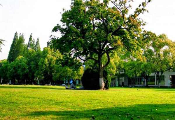 宁波十大网红景点推荐