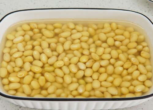 大豆如何养花可以壮根爆满盆