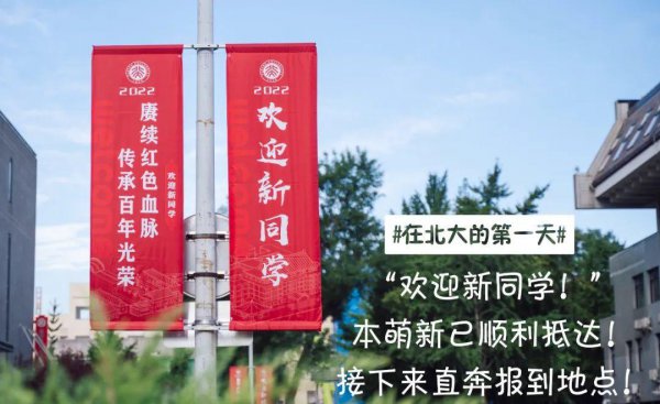英语专业大学排名及分数线