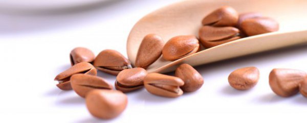 鲜松子能生吃吗