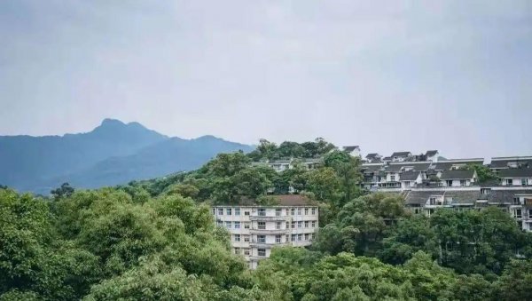 西南交通大学是985还是211