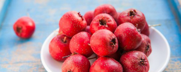 减肥可以吃山楂吗