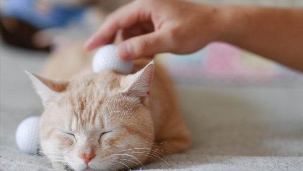 2023年什么生意好做又赚钱