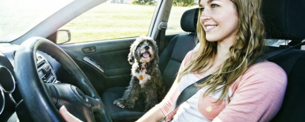 大风天汽车驾驶注意事项