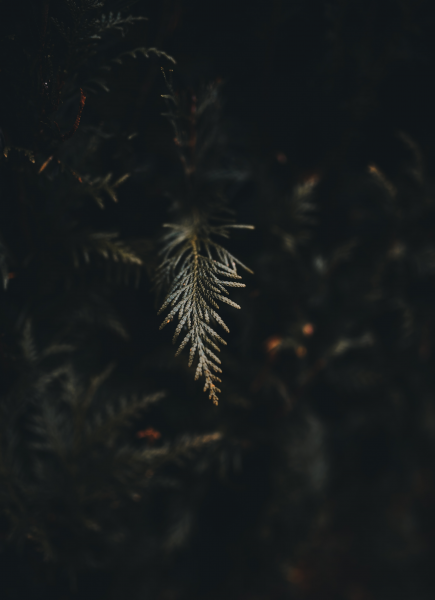 手机相机拍照模糊不清什么原因