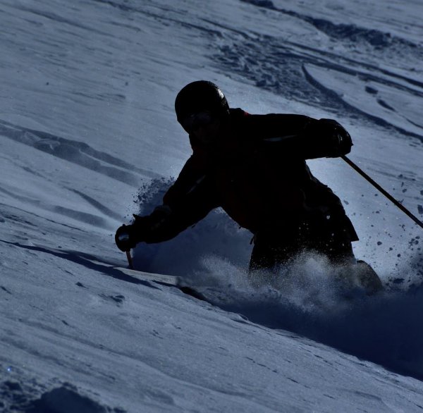 墙头草代表什么样的人