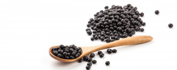 黑豆是热性还是凉性