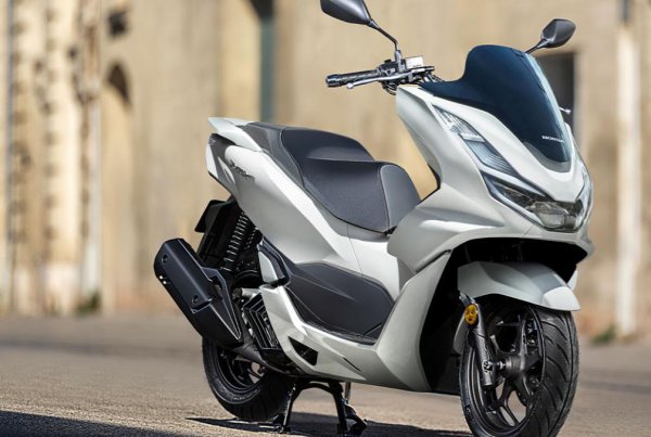 国产踏板车十大排名品牌