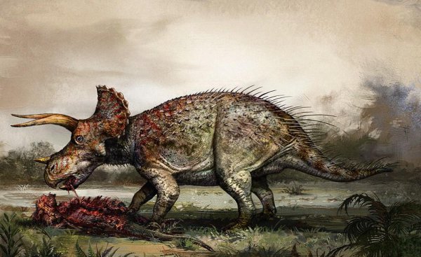 著名恐龙之三角龙介绍