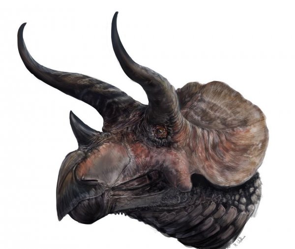 著名恐龙之三角龙介绍