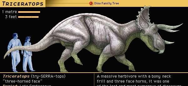 著名恐龙之三角龙介绍