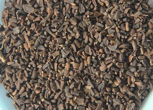 菊花种子的种植方法和时间 栽培管理技术