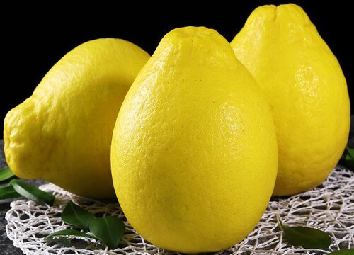 柚子含糖量高吗