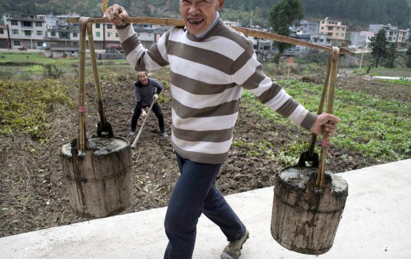 燕子搭窝是如何挑选人家的