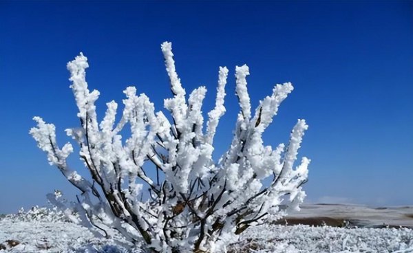 立春是不是就暖和了一点