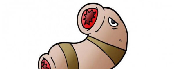 新手养殖水蛭注意