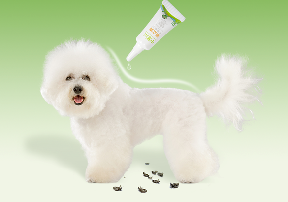狗狗多久驱虫一次合适