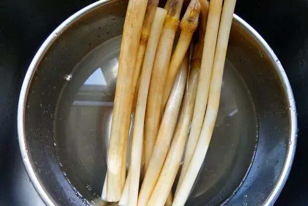 藕蒂有什么药用价值