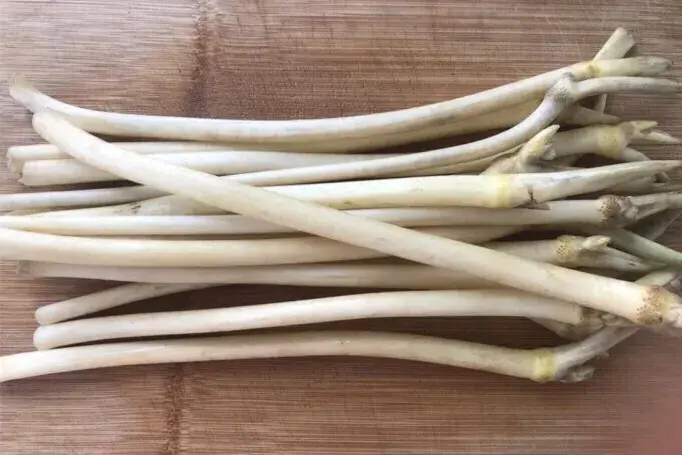 藕蒂有什么药用价值