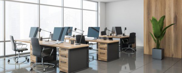 办公室放什么花比较好