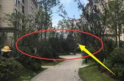 一楼的房子有什么优缺点