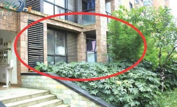 一楼的房子有什么优缺点