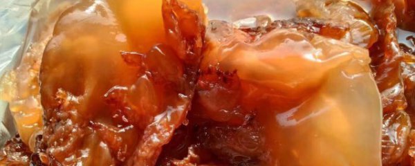 新鲜海蜇能直接吃吗