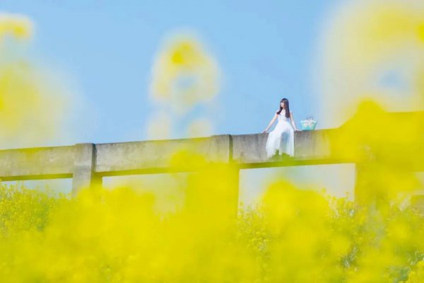 两个人吸引因为有磁场